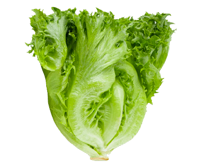 Whole Foods Market, Romaine Hearts Salad Bag Organic